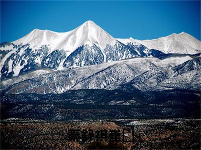秦舒祺崔洺主角是崔洺秦舒祺全文免费阅读无弹窗-秦舒祺崔洺最新章节列表-笔趣阁