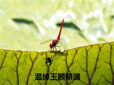 温绰玉顾明渊(顾明渊温绰玉)全文免费阅读无弹窗大结局_温绰玉顾明渊最新章节列表_笔趣阁(顾明渊温绰玉)