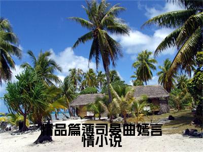 精品篇薄司晏曲嫣（ 曲嫣薄司晏）全文完整版免费阅读_ 曲嫣薄司晏（精品篇薄司晏曲嫣全文免费阅读）最新章节列表_笔趣阁（精品篇薄司晏曲嫣）
