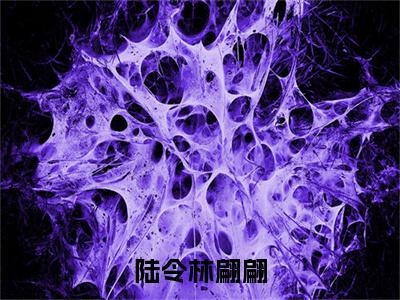 陆令林翩翩最新热门小说-(林翩翩陆令)最新章节免费阅读