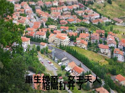 重生换亲，女主夫人格局打开了全文免费阅读无弹窗大结局-重生换亲，女主夫人格局打开了陆又龄程放 全文全章节免费阅读