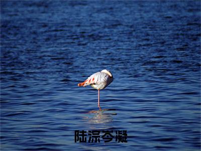 陆淙岑凝全文（岑凝陆淙）全文免费阅读无弹窗大结局_（岑凝陆淙）陆淙岑凝最新章节列表笔趣阁（陆淙岑凝）