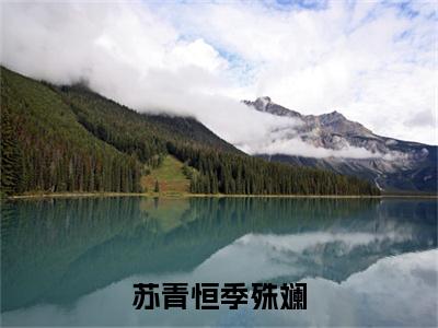 无广告小说苏青恒季殊斓全文免费阅读无弹窗大结局-季殊斓苏青恒川在线阅读