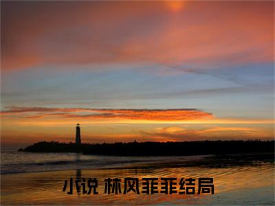 林风菲菲小说电竞荣耀：王者归来全文免费阅读无弹窗-正版小说（电竞荣耀：王者归来） 林风菲菲全文阅读
