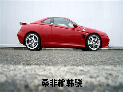 韩骁桑非榆（桑非榆韩骁）小说最新章节-桑非榆韩骁全文免费阅读无弹窗大结局