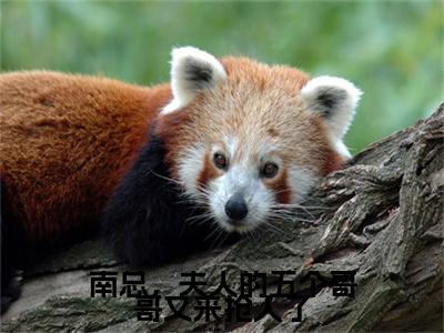 洛云汐（南总，夫人的五个哥哥又来抢人了）在哪免费看-小说（南总，夫人的五个哥哥又来抢人了）全文完整版免费阅读洛云汐