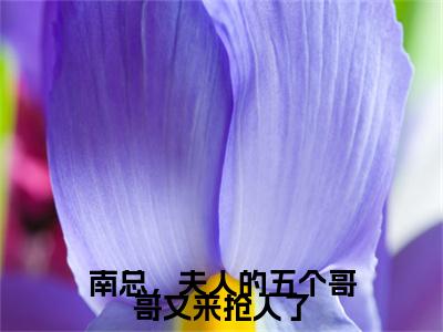 南总,夫人的五个哥哥又来抢人了(洛云汐)全文免费阅读无弹窗_(南总,夫人的五个哥哥又来抢人了小说免费阅读)最新章节列表笔趣阁