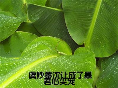 主角是 虞妙蓁沈让的小说叫什么名字 成了暴君心尖宠，昼夜娇缠别想逃小说免费阅读