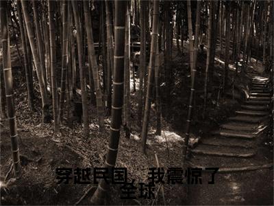 张学鸣（穿越民国，我震惊了全球）全文免费阅读无弹窗_张学鸣穿越民国，我震惊了全球最新章节免费阅读_笔趣阁