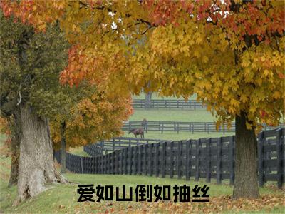 主角是江如歌沈临渊的小说-爱如山倒如抽丝全章节在线阅读