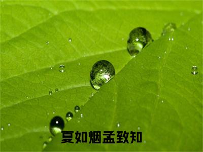 孟致知夏如烟为孟致知夏如烟的小说叫什么-最新小说夏如烟孟致知全文阅读