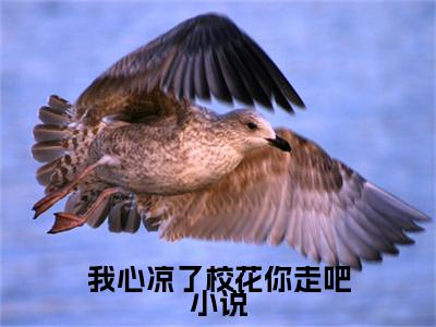 【新书】《 江尘毛安福》我心凉了校花你走吧小说全文全章节免费阅读