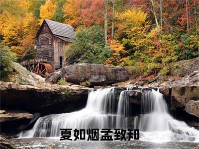 小说夏如烟孟致知（孟致知夏如烟全文免费阅读）完结阅读_孟致知夏如烟全文免费阅读免费看全文