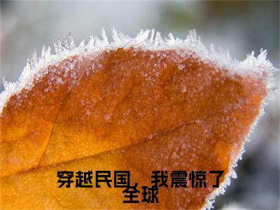 穿越民国，我震惊了全球（张学鸣）全文免费阅读无弹窗大结局_张学鸣全文免费阅读_笔趣阁（穿越民国，我震惊了全球）