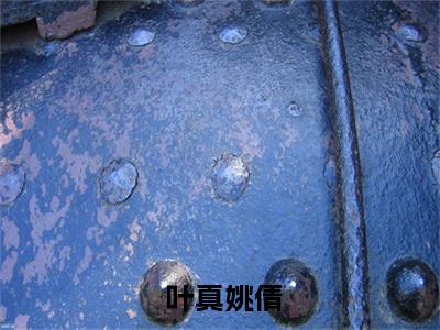 文娱奶爸：给异界亿点文化震撼（ 叶真姚倩）精选好书- 叶真姚倩无删减版在线阅读（ 叶真姚倩全文免费阅读）