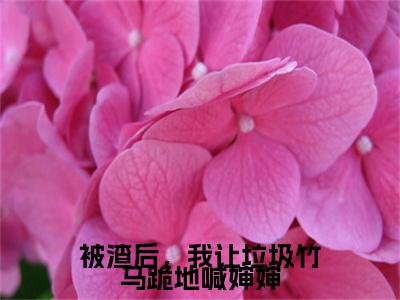 被渣后,我让垃圾竹马跪地喊婶婶(黎洛)全文免费阅读无弹窗大结局_被渣后,我让垃圾竹马跪地喊婶婶在线阅读笔趣阁(黎洛)