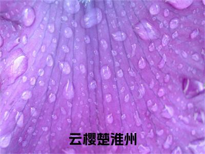 云樱楚淮州（楚淮州云樱）全文免费阅读无弹窗大结局_云樱楚淮州（楚淮州云樱）全文阅读_笔趣阁（云樱楚淮州）