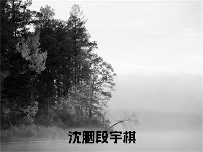 沈胭段宇棋免费小说-沈胭段宇棋完结版在线阅读