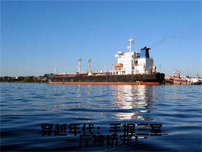 穿越年代：手握三室一厅被娇宠！(花晴)全文免费阅读无弹窗大结局_（花晴）的小说（穿越年代：手握三室一厅被娇宠！）最新章节列表