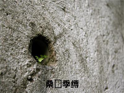 桑姷季缚免费小说_季缚桑姷免费最新章节列表_笔趣阁