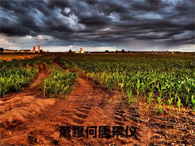 萧穆何唐景仪全文免费（萧穆何唐景仪）全文免费阅读无弹窗大结局_（萧穆何唐景仪全文免费萧穆何唐景仪）