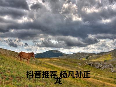 星辰大海从可控核聚变开始（ 杨凡孙正龙小说）全文免费阅读无弹窗大结局_星辰大海从可控核聚变开始完整版小说阅读（ 杨凡孙正龙小说）