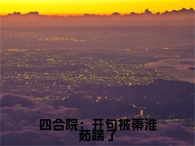秦康小说完整版阅读-小说四合院：开句被秦淮茹踹了全文免费阅读