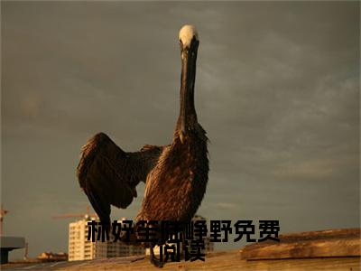 爆撩反派大佬别太爱完整版 林妤笙陆峥野全文免费阅读无弹窗大结局_ 林妤笙陆峥野（爆撩反派大佬别太爱完整版）全文阅读_笔趣阁（爆撩反派大佬别太爱完整版）