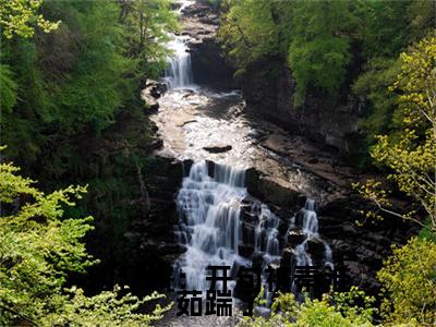 四合院：开句被秦淮茹踹了小说（秦康）全文免费阅读无弹窗大结局_（四合院：开句被秦淮茹踹了）秦康最新章节列表（秦康）