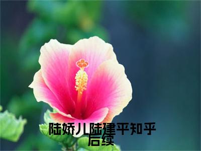 重生第三世：冷酷军官爱上我( 陆娇儿陆建平)全文阅读无弹窗大结局_重生第三世：冷酷军官爱上我免费阅读无弹窗最新章节列表