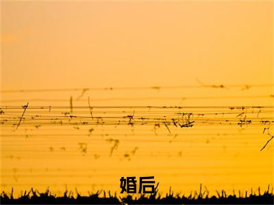 婚后，军官大佬喊我小祖宗小说（ 玉佩盛誉华）全文免费阅读无弹窗大结局_婚后，军官大佬喊我小祖宗最新章节在线阅读_笔趣阁