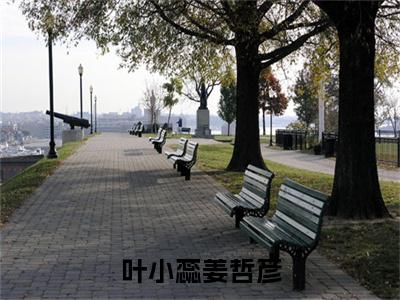 姜哲彦叶小蕊小说在线阅读（叶小蕊姜哲彦）全文免费阅读无弹窗大结局_叶小蕊姜哲彦小说免费最新章节列表_笔趣阁（姜哲彦叶小蕊）