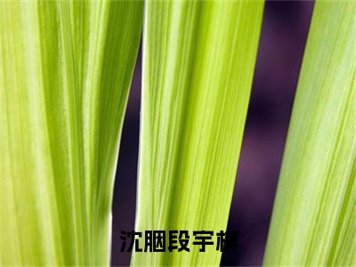 沈胭段宇棋（沈胭段宇棋）全文免费阅读无弹窗大结局_沈胭段宇棋（沈胭段宇棋）免费在线阅读最新章节列表笔趣阁（沈胭段宇棋）