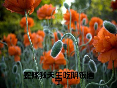 （蛇嫁我天生吃阴饭唐宁）全文免费阅读-蛇嫁我天生吃阴饭唐宁（唐宁）最新章节列表阅读