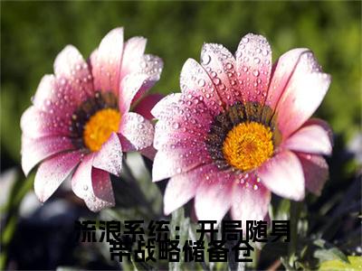 小说（流浪系统：开局随身带战略储备仓） 吴倩夏阳精选片段阅读-小说 吴倩夏阳免费版最新更新阅读