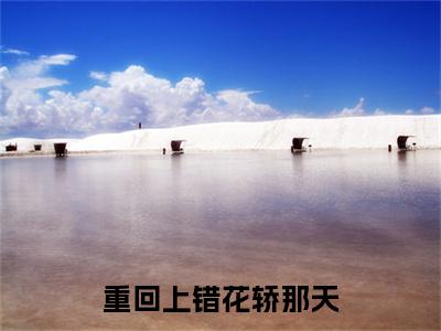 重回上错花轿那天，我当场改嫁前夫他爹全文（ 沈鹤亭苏蒹葭）抖音热推小说全集无删减_ 沈鹤亭苏蒹葭免费最新章节列表_笔趣阁