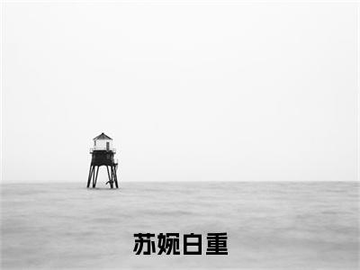 苏婉白重全文免费阅读大结局-苏婉白重最新章节列表-笔趣阁