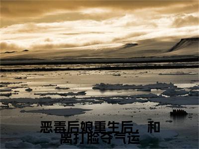 恶毒后娘重生后，和离打脸夺气运小说（楚嫣）小说全文无删减版在线阅读_楚嫣小说最新章节列表