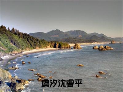 虞汐沈睿平在线阅读无弹窗_虞汐沈睿平最新章节列表_笔趣阁