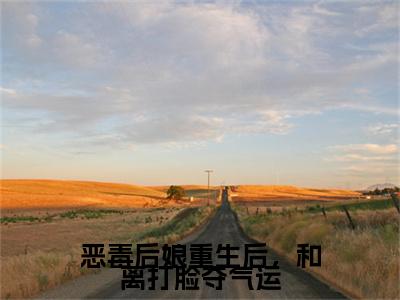 【新书】《恶毒后娘重生后，和离打脸夺气运》全文免费阅读无弹窗大结局-楚嫣全文全章节免费阅读