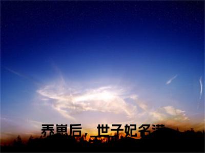 养崽后，世子妃名满天下（秦朝颜）全文免费阅读无弹窗-（养崽后，世子妃名满天下）秦朝颜小说全文在线赏析
