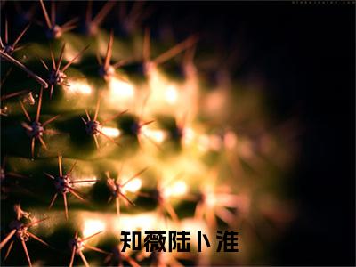 知薇陆卜淮（知薇陆卜淮）小说免费阅读在线阅读_知薇陆卜淮全文免费阅读_笔趣阁