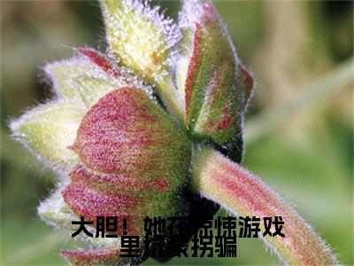 埃尔文郁兰（大胆！她在惊悚游戏里坑蒙拐骗）全文免费阅读_大胆！她在惊悚游戏里坑蒙拐骗（埃尔文郁兰）全文阅读