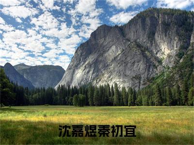 沈嘉煜秦初宜全文免费阅读无弹窗大结局_（秦初宜沈嘉煜）最新章节列表_笔趣阁（沈嘉煜秦初宜小说）