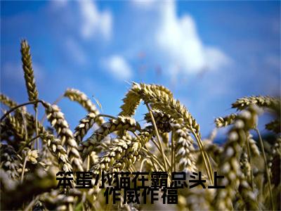 笨蛋小猫在霸总头上作威作福（霍绵绵霍瑾）全文免费阅读无弹窗无删减_小说（笨蛋小猫在霸总头上作威作福）霍绵绵霍瑾最新章节列表笔趣阁