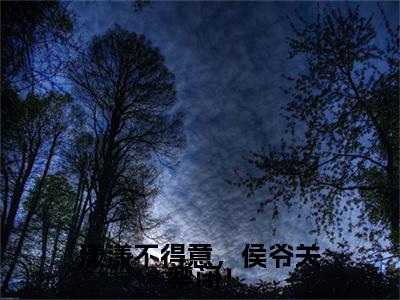 漾漾不得意，侯爷关禁闭！小说全文免费阅读_苏景意楚漾（苏景意楚漾）最新章节列表笔趣阁