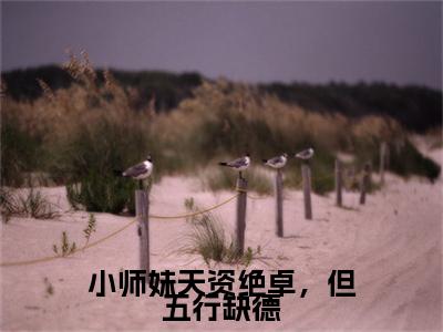 （小师妹天资绝卓，但五行缺德）白雪池雨全集小说完整版大结局_小师妹天资绝卓，但五行缺德全文免费无弹窗最新章节列表_笔趣阁