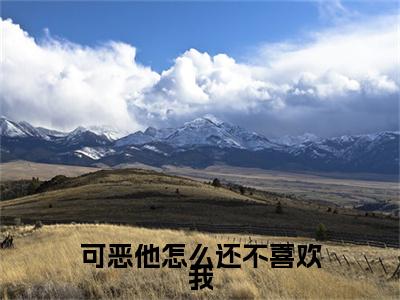 可恶他怎么还不喜欢我免费小说-可恶他怎么还不喜欢我完结版在线阅读