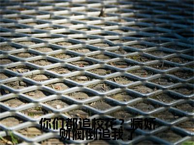 你们都追校花？病娇财阀倒追我了（陈洛）全文免费阅读无弹窗大结局_（你们都追校花？病娇财阀倒追我了无弹窗）陈洛最新章节列表阅读_笔趣阁