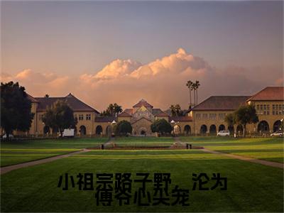小祖宗路子野，沦为傅爷心尖宠抖音新书热荐姜禾傅西沉-最新小说姜禾傅西沉全文阅读